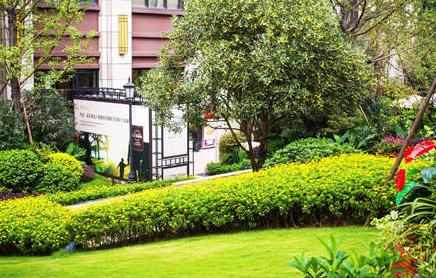 園林(lín)養護,園(yuán)林綠(lǜ)化