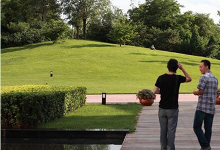 園林(lín)公司,園林綠化