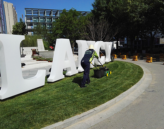 北京(jīng)綠化公(gōng)司,園林綠化養護