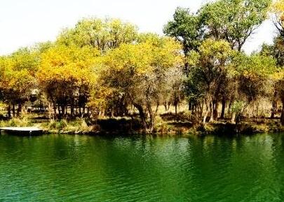 綠(lǜ)化公司為您介紹城市公園植物的配置原則