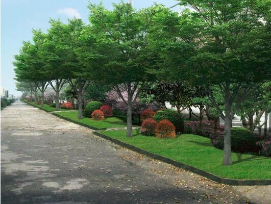 道路(lù)綠化改造工程升(shēng)級,全著力提升城(chéng)市品位