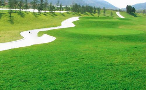 园林绿（lǜ）化公司绿化养护