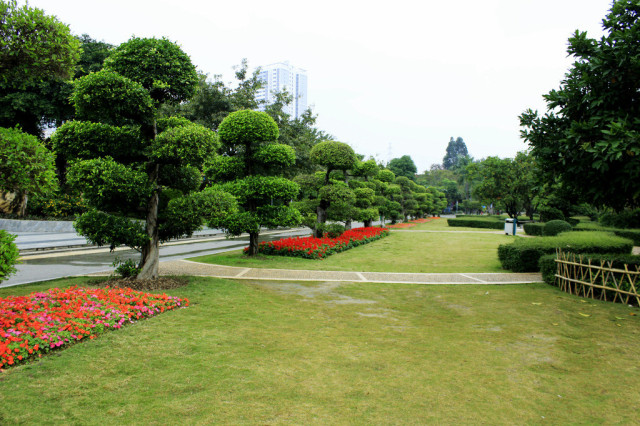 園林綠化應該注意的一些（xiē）小細節