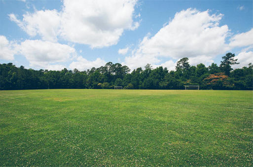 荒山（shān）平（píng）原造林綠化改造