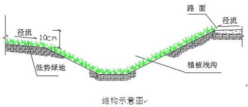 植被浅（qiǎn）沟