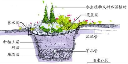 生（shēng）物滞留._2