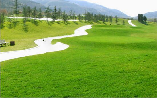 園林綠化改造工程施工常見（jiàn）誤區，您中招（zhāo）了嗎？