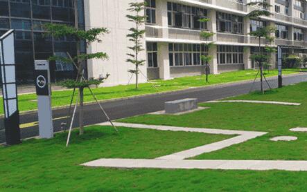 夏季園林綠化養護工作該如何做(zuò)?