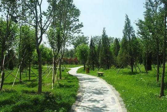 园林绿化（huà）公司带您了解（jiě）夏季绿化养护小知识