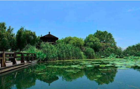 園（yuán）林綠化養護