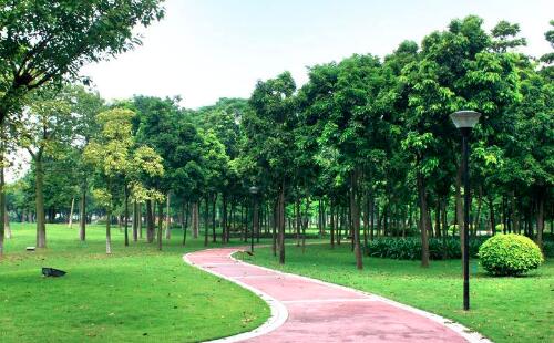 如何實施有效的園(yuán)林養護(hù)技術?