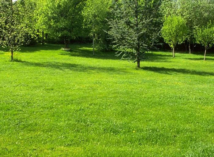 園林（lín）綠化