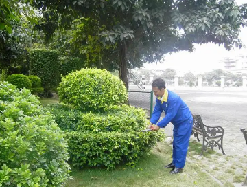 綠化養護如（rú）何提高管理水平？