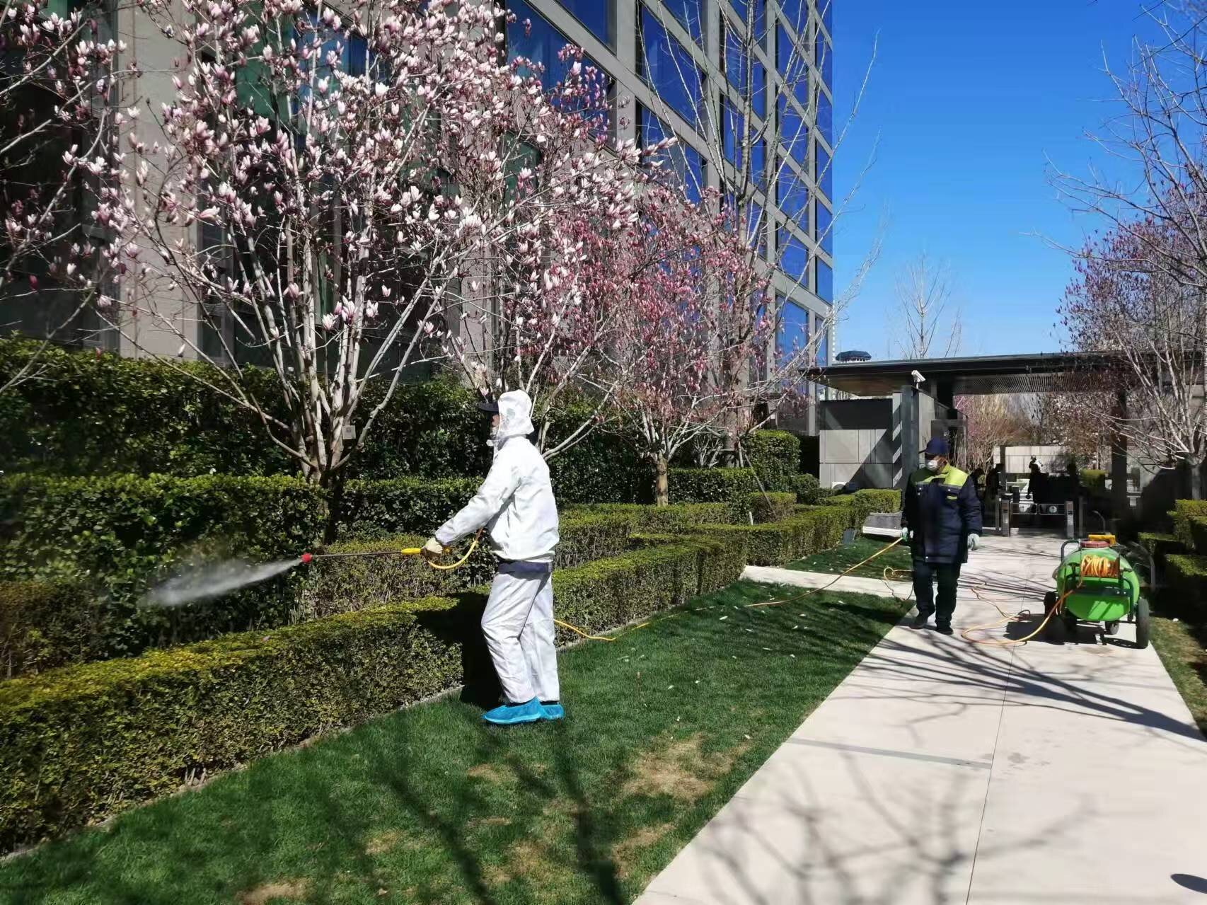 北京春季園林（lín）綠化（huà）養（yǎng）護之要點